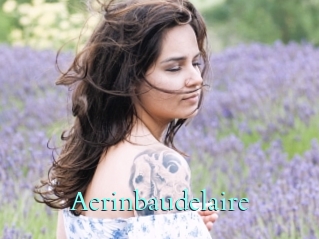 Aerinbaudelaire