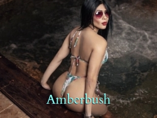 Amberbush