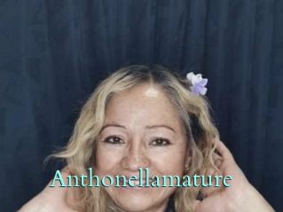 Anthonellamature