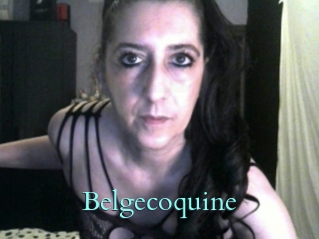 Belgecoquine