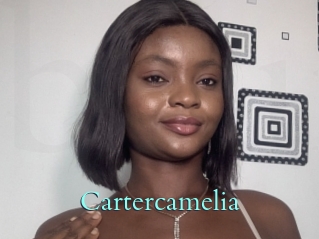Cartercamelia