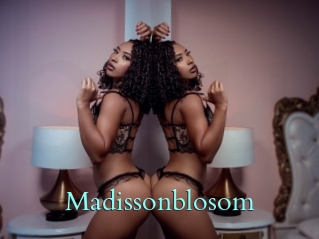Madissonblosom