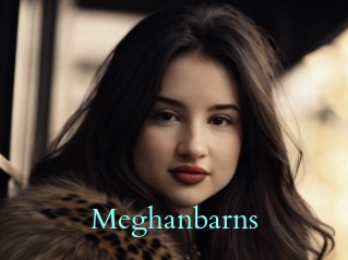 Meghanbarns