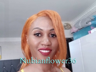 Nubianflower36