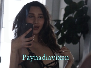 Paynadiavixen