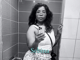 Sebina