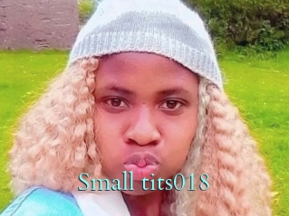 Small_tits018